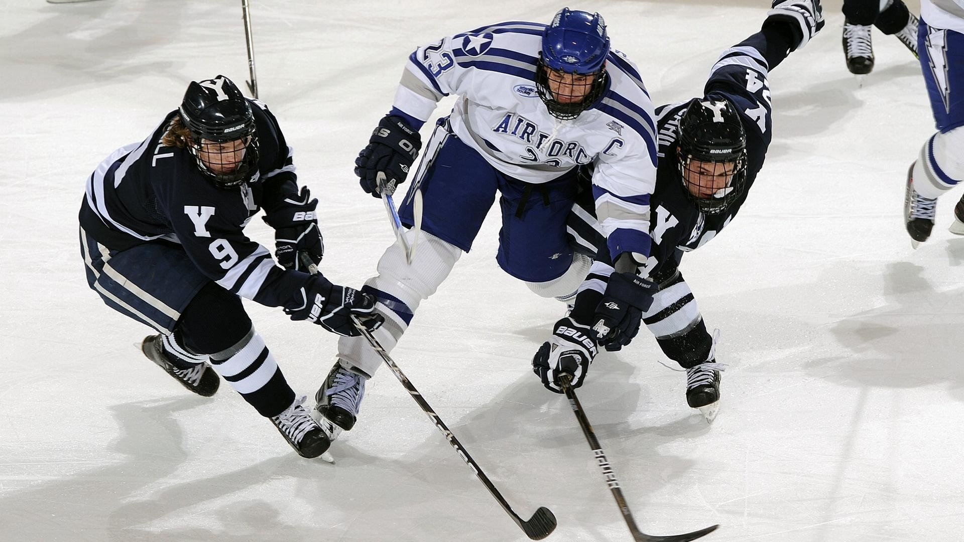 体育赛事最新热点